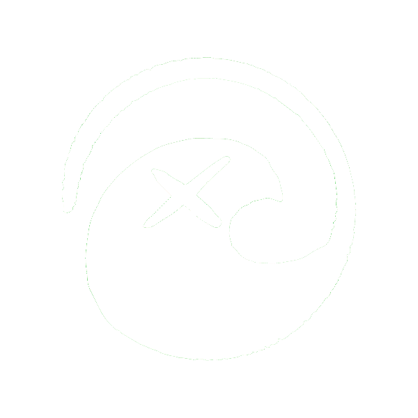 Logo Motion Design Magicwaters - von funkhaus - Digital Studio für Travel & Tourism Brands