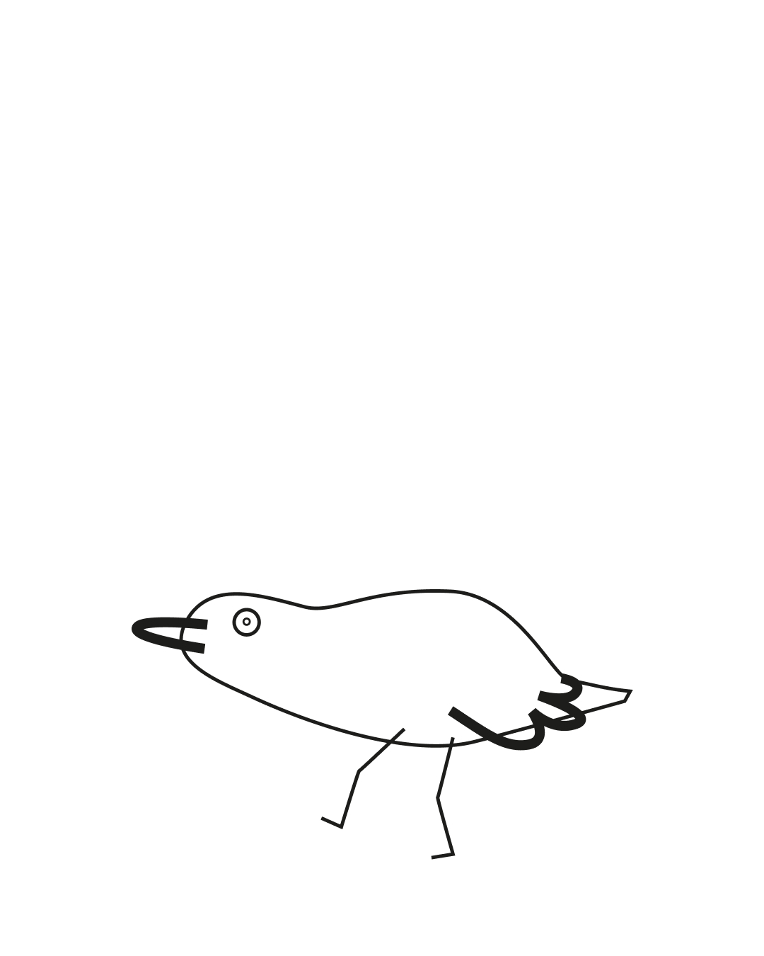 Branding Grafiken und Logo Design von funkhaus aus Rostock / Agentur für Marken und Websites / Case Study Steuerbord Rostock